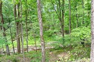 2385 River Rd, Hermitage, PA 16148 - Photo 13