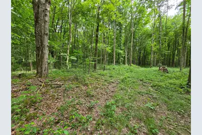 0 Fox Mine Rd, Jackson Center Boro, PA 16133 - Photo 1