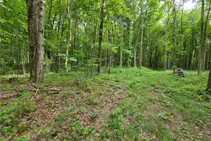 0 Fox Mine Rd, Jackson Center Boro, PA 16133 - Photo 1