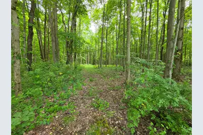 0 Fox Mine Rd, Jackson Center Boro, PA 16133 - Photo 3
