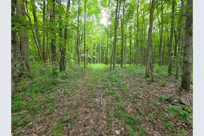 0 Fox Mine Rd, Jackson Center Boro, PA 16133 - Photo 5