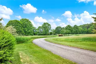 274 Rector Rd, Ligonier Township, PA 15658 - Photo 5