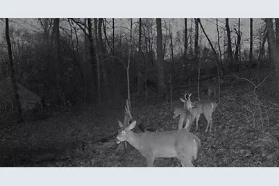 0 Campground Rd, Shenango Township, PA 16159 - Photo 5