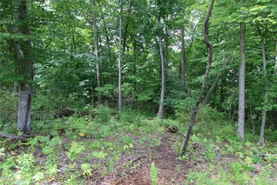 0 Campground Rd, Shenango Township, PA 16159 - Photo 9
