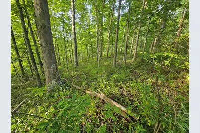 0 Fallen Timber Rd, Independence, PA 15312 - Photo 7