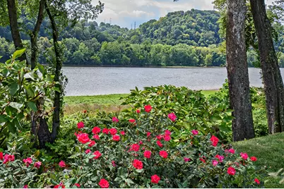 134 Chapel Harbor Dr, Pittsburgh, PA 15238 - Photo 27