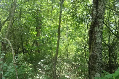 01 Old Distillery Road, Cook Township, PA 15658 - Photo 3