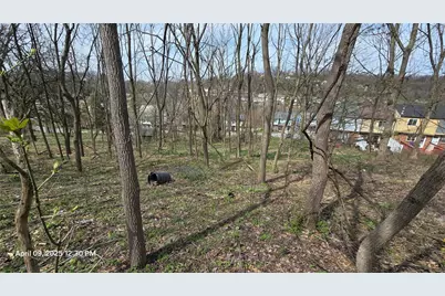 0 Shadowlawn Dr, Pittsburgh, PA 15236 - Photo 3