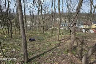 0 Shadowlawn Dr, Pittsburgh, PA 15236 - Photo 3