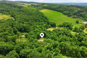 131 Squirrel Hill Rd, Elk Lick Township, PA 15552 - Photo 35