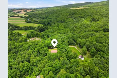 131 Squirrel Hill Road, Elk Lick Township, PA 15552 - Photo 31