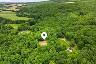 131 Squirrel Hill Rd, Elk Lick Township, PA 15552 - Photo 31