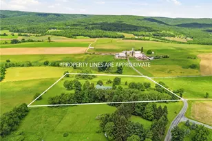 555 Blough Rd, Jenner Township, PA 15531 - Photo 41