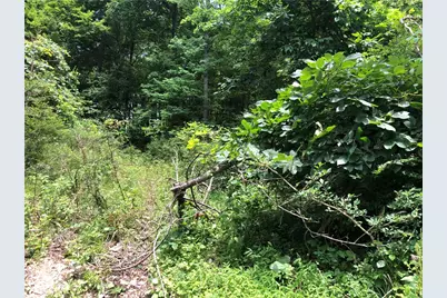224-225 Old Mill Road, Ohiopyle, PA 15470 - Photo 5
