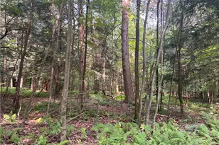 2612 Canoe Ridge Rd, Canoe Banks Twp, PA 15772 - Photo 29