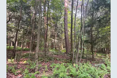 2612 Canoe Ridge Rd, Canoe-Banks Townships, PA 15772 - Photo 9