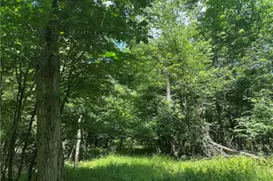 0 Cooperstown Rd, Oakland Township, PA 16317 - Photo 1
