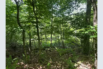 0 Cooperstown Rd, Oakland Township, PA 16317 - Photo 9