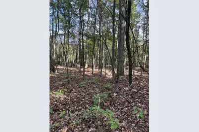 Lot#1 Christie Rd, Washington Township, PA 16061 - Photo 5