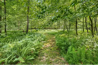 521 Earl Ansell Rd, Middlecreek Township, PA 15557 - Photo 9