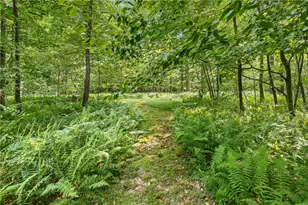 521 Earl Ansell Rd, Middlecreek Township, PA 15557 - Photo 9