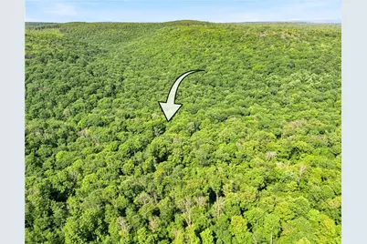 521 Earl Ansell Rd, Middlecreek Township, PA 15557 - Photo 35