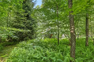 521 Earl Ansell Rd, Middlecreek Township, PA 15557 - Photo 29