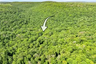 521 Earl Ansell Rd, Middlecreek Township, PA 15557 - Photo 35