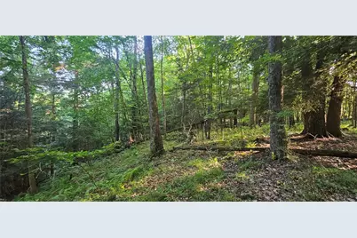 0 Rockland Station Rd, Richland Township, PA 16374 - Photo 7