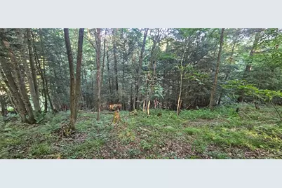 0 Rockland Station Rd, Richland Township, PA 16374 - Photo 5