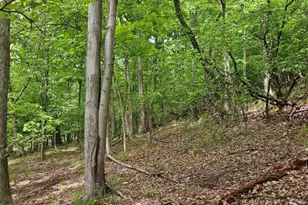 0000 Reservoir Rd, Bell Township, PA 15681 - Photo 1