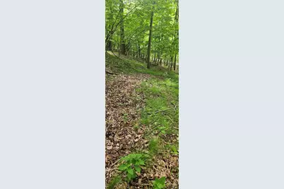 0000 Reservoir Road, Bell Township, PA 15681 - Photo 3
