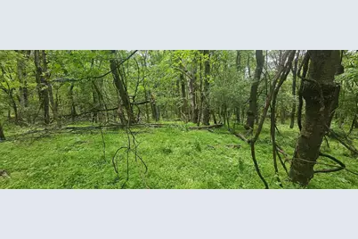 0000 Reservoir Road, Bell Township, PA 15681 - Photo 7