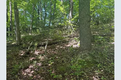 0 Tr117-Nr Woodside, Nicholson Township, PA 15478 - Photo 3