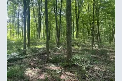 0 West Ln, Brady Township, PA 16057 - Photo 3