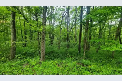 190-192 Hawkins Hollow Rd, Springfield Township, PA 15425 - Photo 3