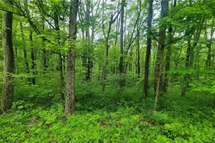 190-192 Hawkins Hollow Rd, Springfield Township, PA 15425 - Photo 3