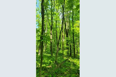 180 Hawkins Hollow Rd, Springfield Township, PA 15425 - Photo 1