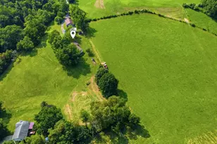 45 Shades of Death Rd, Avella, PA 15312 - Photo 35