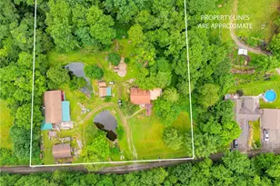 519 Sugar Run Rd, Saint Clair Township, PA 15944 - Photo 47
