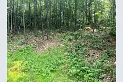 Lot 10 Off Camp Run Rd, Donegal, PA 15628 - Photo 3