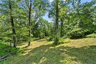 233 Horseshoe Dr, Adams Township, PA 16046 - Photo 43