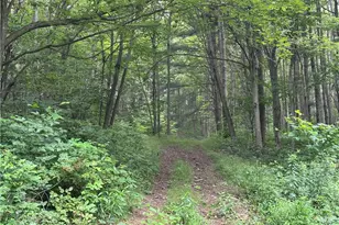 196 Grimm Rd, Saltlick Township, PA 15456 - Photo 21