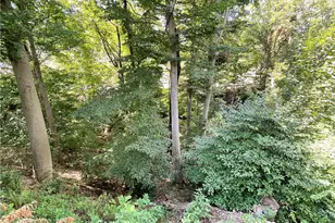 2310 N Forest Grove Rd, Robinson Twp, PA 15108 - Photo 47