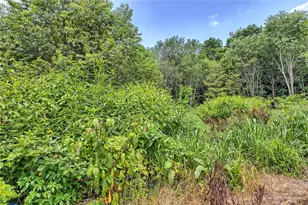1196 Buchanan Rd, Saltlick Township, PA 15490 - Photo 35