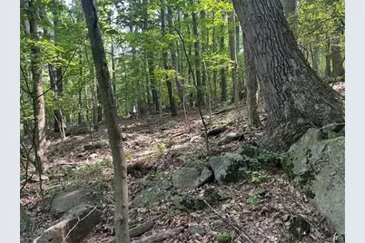Lot 934 Ski Slope Rd, Bullskin Township, PA 15610 - Photo 3