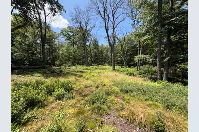 Lot 87 Laurel, Stoneycreek Township, PA 15926 - Photo 5