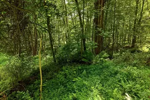 Lot #6 Bernadette Ln, Venango Township, PA 16020 - Photo 17