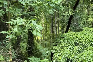 0 Mingo, Marshall, PA 15090 - Photo 1