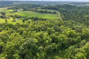 650 Phillis Rd, Smith Township, PA 15021 - Photo 49